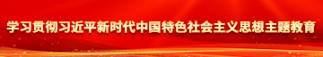 逼逼想要被艹学习贯彻习近平新时代中国特色社会主义思想主题教育